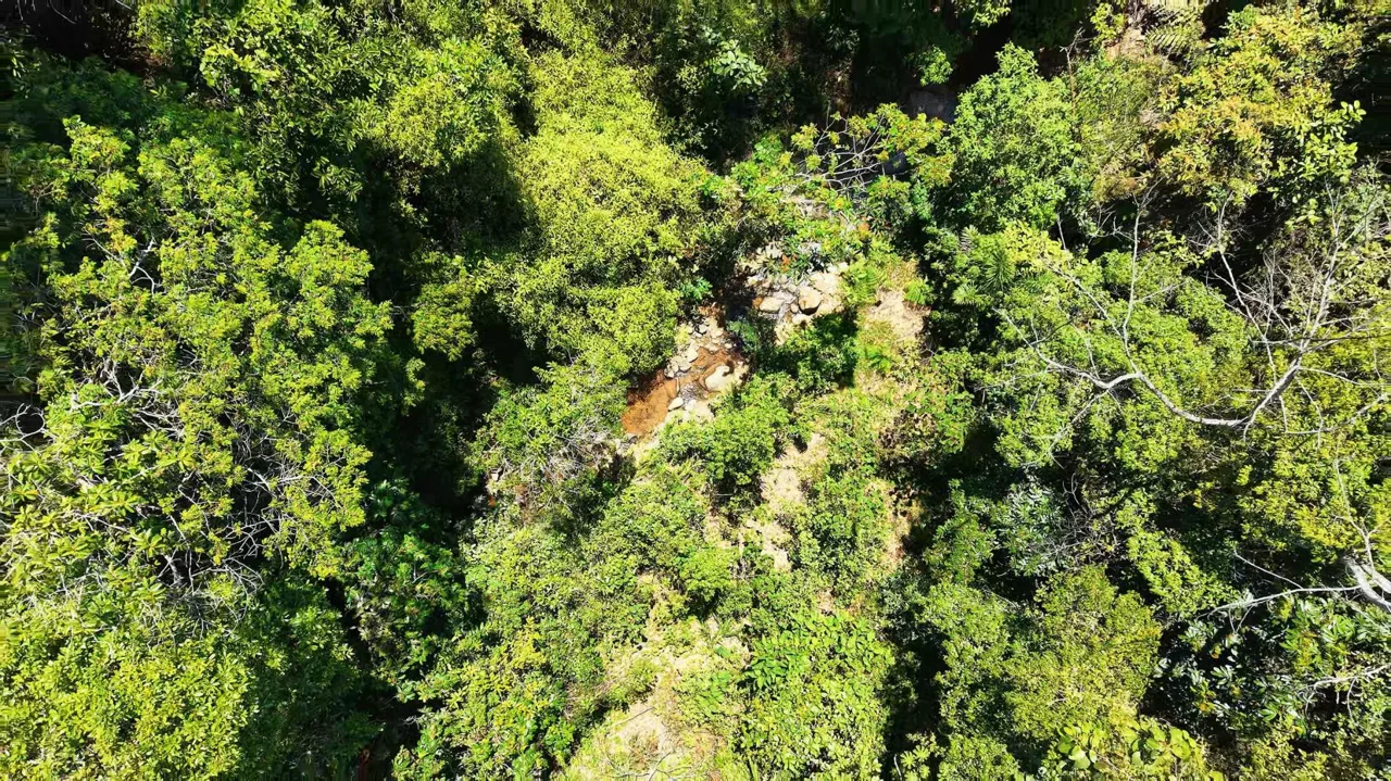 71-Acre Investment Property in Costa Rica with Mountain Views and Water Rights, photo 7