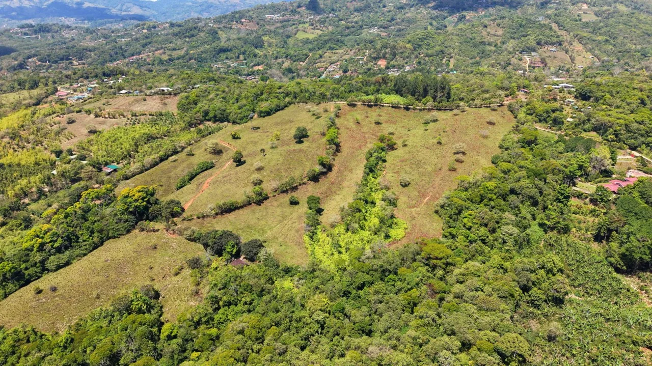 71-Acre Investment Property in Costa Rica with Mountain Views and Water Rights, photo 8
