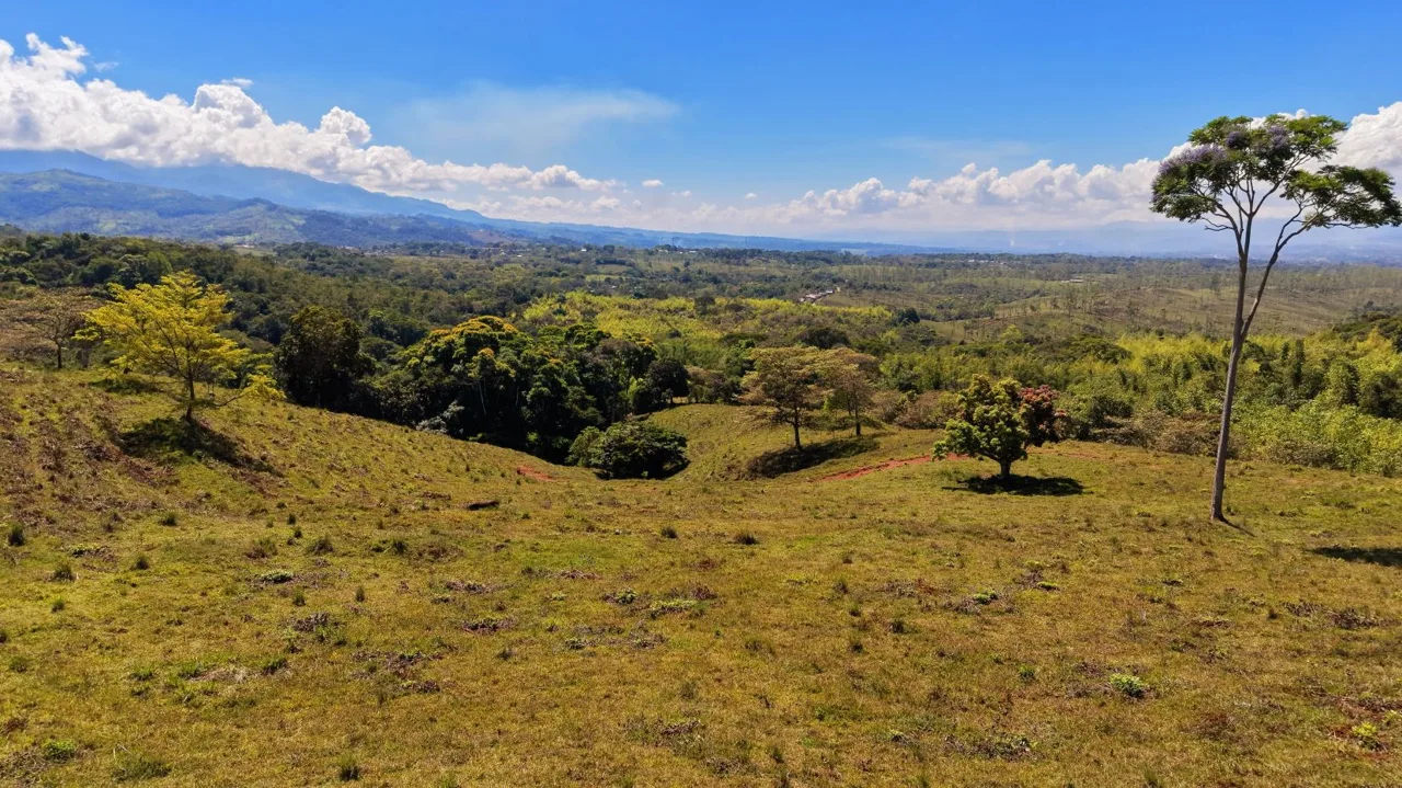 71-Acre Investment Property in Costa Rica with Mountain Views and Water Rights, photo 9