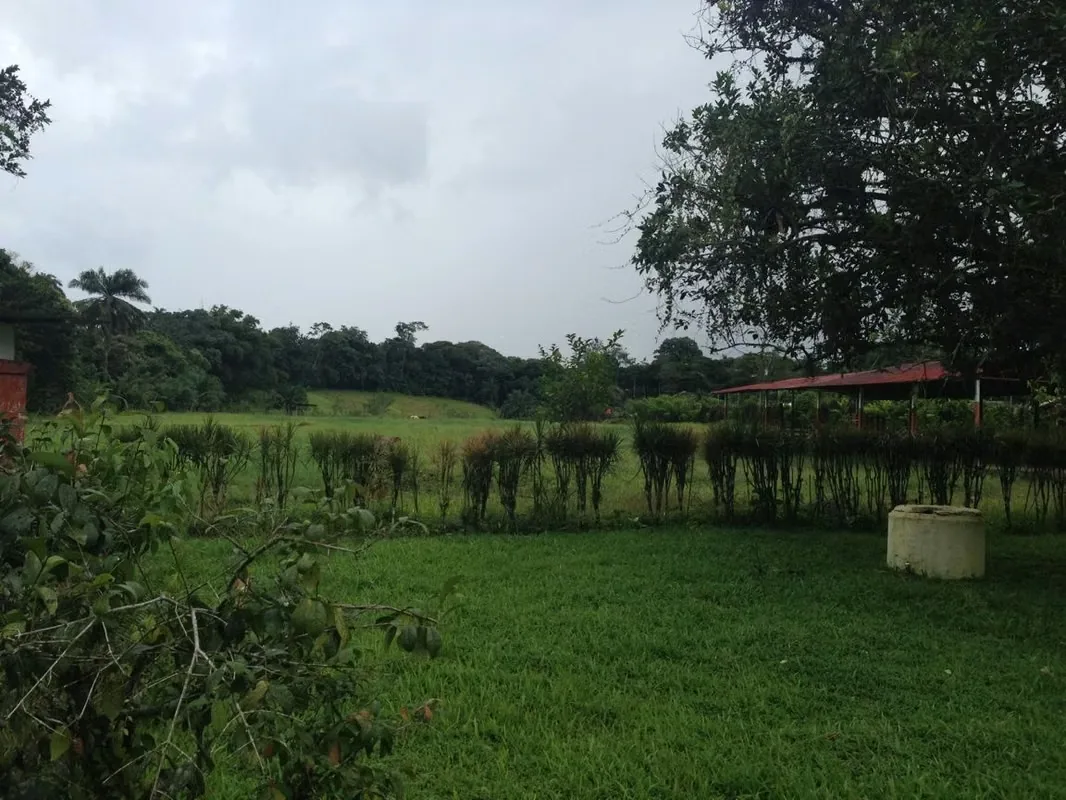 3 Hectarean property with a lotted part, in La Virgen de Sarapiqui, Heredia, photo 6