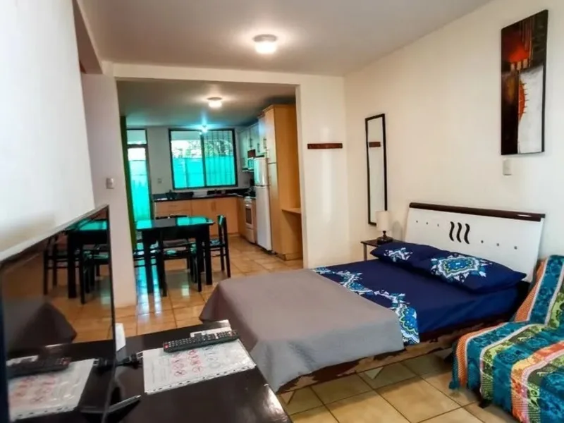 1 Bed Condo For Sale in Playas Del Coco, photo 3