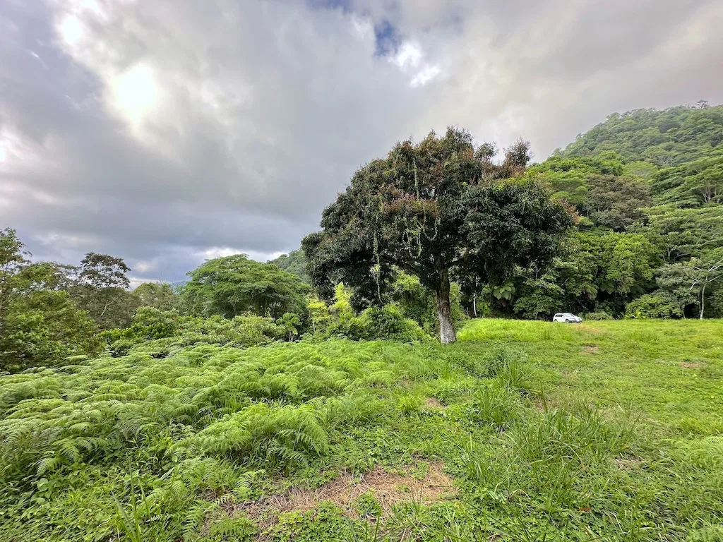 OCEAN VIEW LOT WITH 2 BUILDING SITES IN OJOCHAL – 9.12 ACRES, photo 11