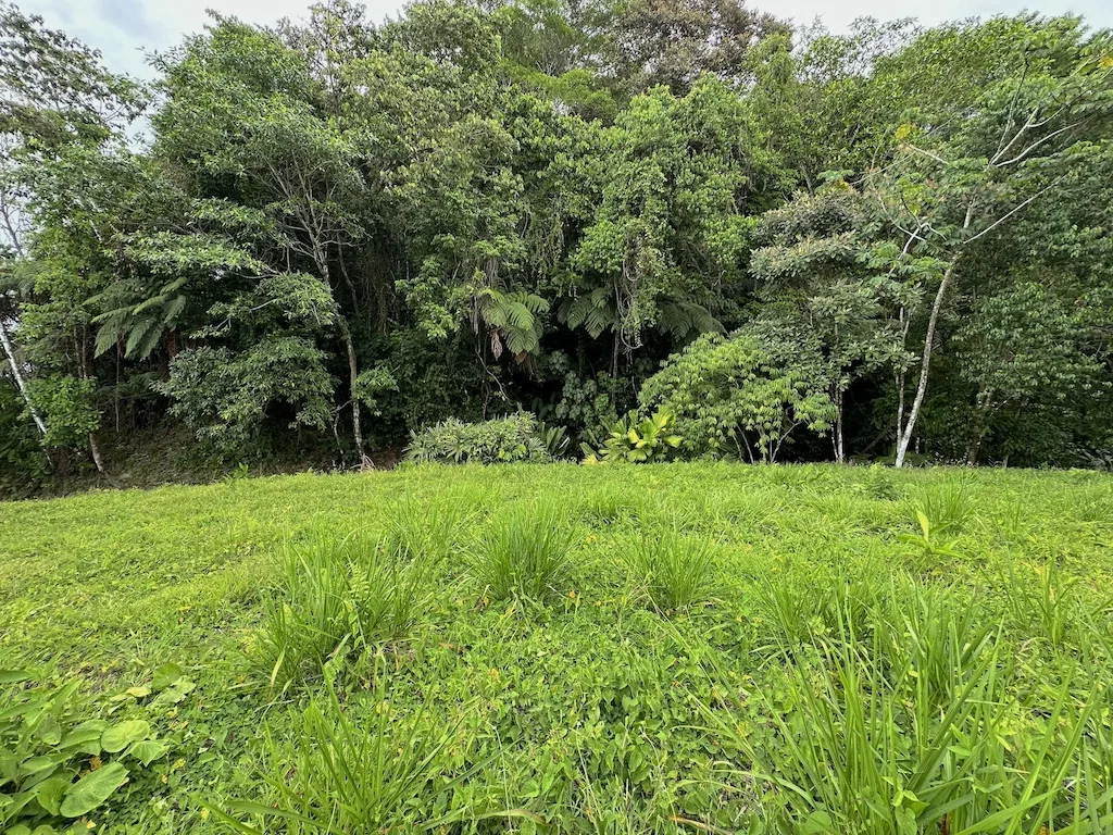 OCEAN VIEW LOT WITH 2 BUILDING SITES IN OJOCHAL – 9.12 ACRES, photo 7