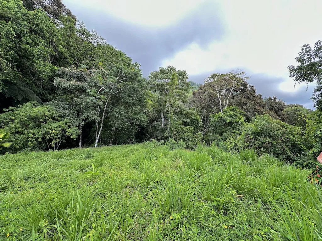 OCEAN VIEW LOT WITH 2 BUILDING SITES IN OJOCHAL – 9.12 ACRES, photo 8