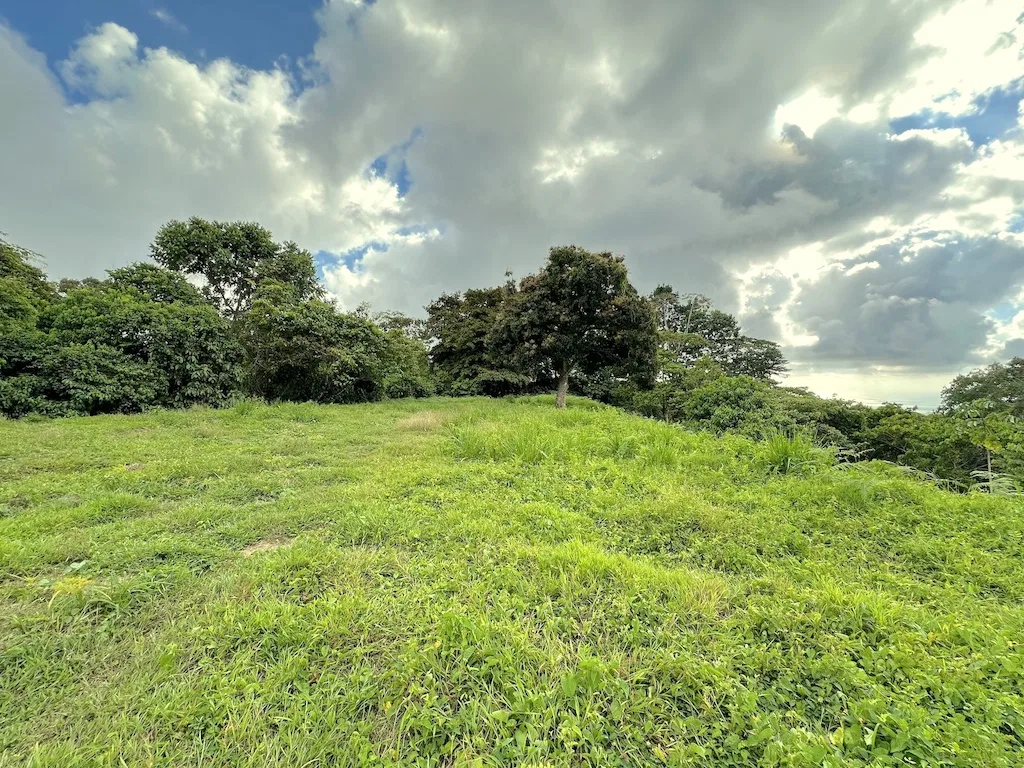 OCEAN VIEW LOT WITH 2 BUILDING SITES IN OJOCHAL – 9.12 ACRES, photo 9