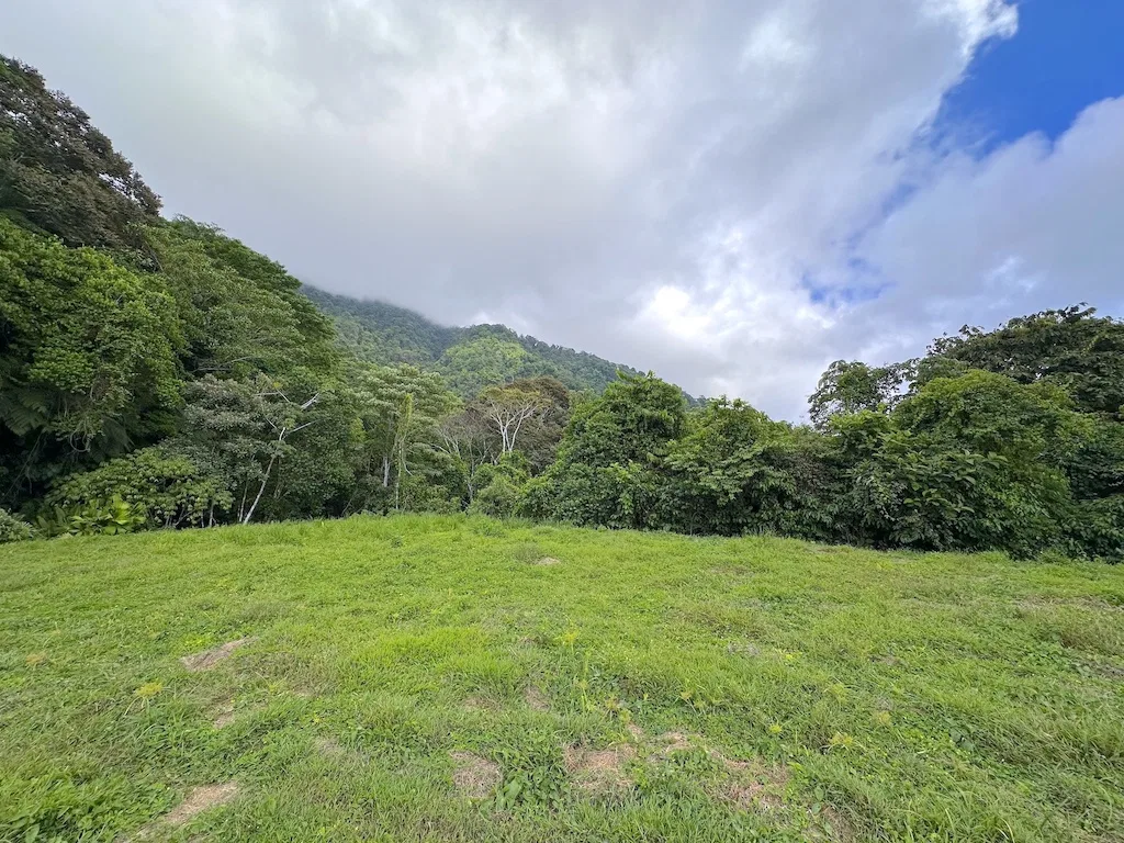OCEAN VIEW LOT WITH 2 BUILDING SITES IN OJOCHAL – 9.12 ACRES, photo 10