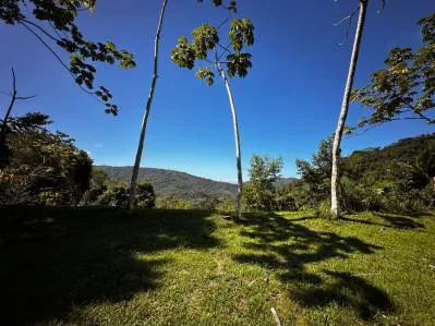 ¡Terreno listo para construir a minutos de la playa de Dominical!, photo 2
