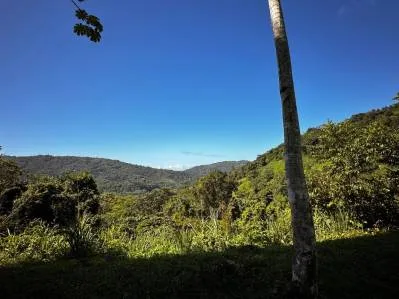 ¡Terreno listo para construir a minutos de la playa de Dominical!, photo 3