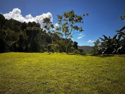 ¡Terreno listo para construir a minutos de la playa de Dominical!, photo 7