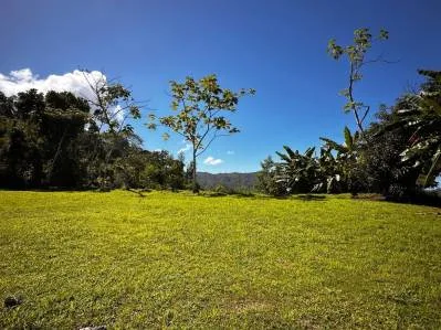 ¡Terreno listo para construir a minutos de la playa de Dominical!, photo 9