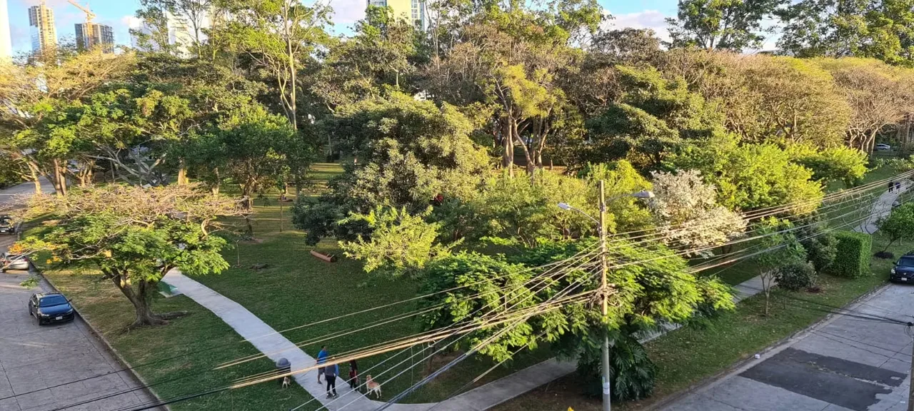 APARTAMENTO DE LUJO 100% AMUEBLADO EN ALQUILER – ROHRMOSER, photo 13