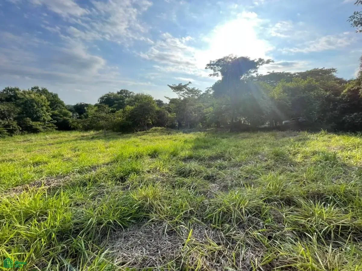 , Parrita, Puntarenas 61101