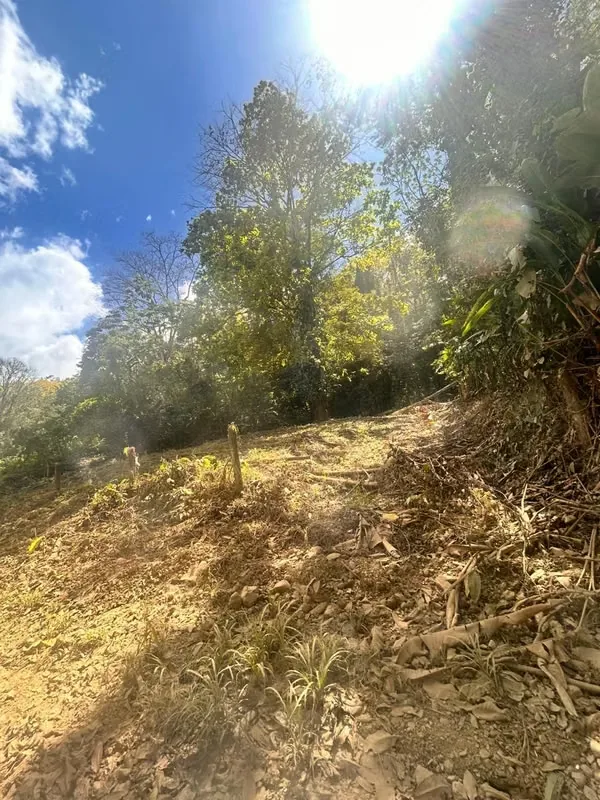 Lindo lote para quinta o para vivir cerca de la playa pero cerca del GAM. Lote bien delimitado, con posibilidad de construcción para casa de habitación, servicio de hotelería, ..., photo 4