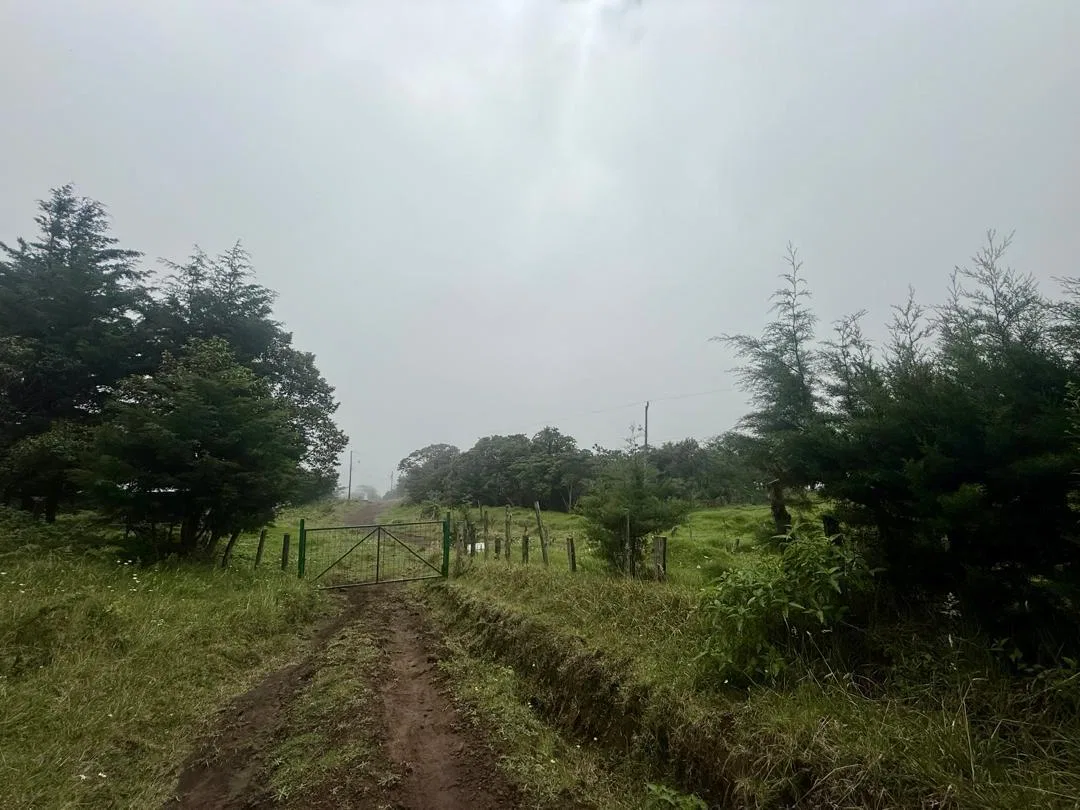 Lote en Venta en Santo Domingo ,Santa Barbara, photo 8