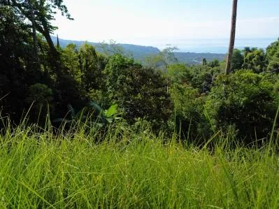 Lote con vista al mar listo para construir en Uvita Hills, photo 2
