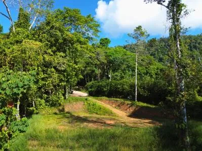 Lote con vista al mar listo para construir en Uvita Hills, photo 7