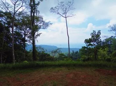 Lote con vista al mar listo para construir en Uvita Hills, photo 9