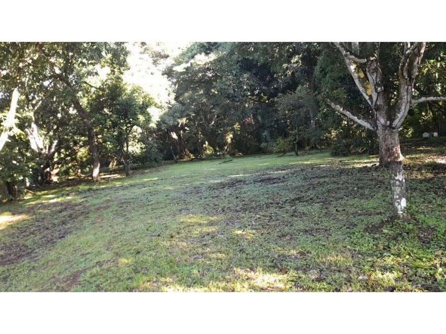 PARCELA EN VENTA EN GUACALILLO | 3.863 M² | P659