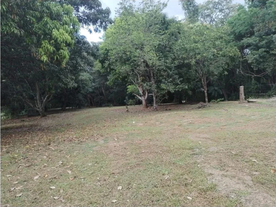 PARCELA EN VENTA EN GUACALILLO | 3.863 M² | P659, photo 2