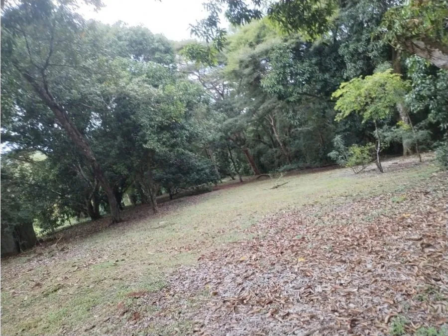 PARCELA EN VENTA EN GUACALILLO | 3.863 M² | P659, photo 3