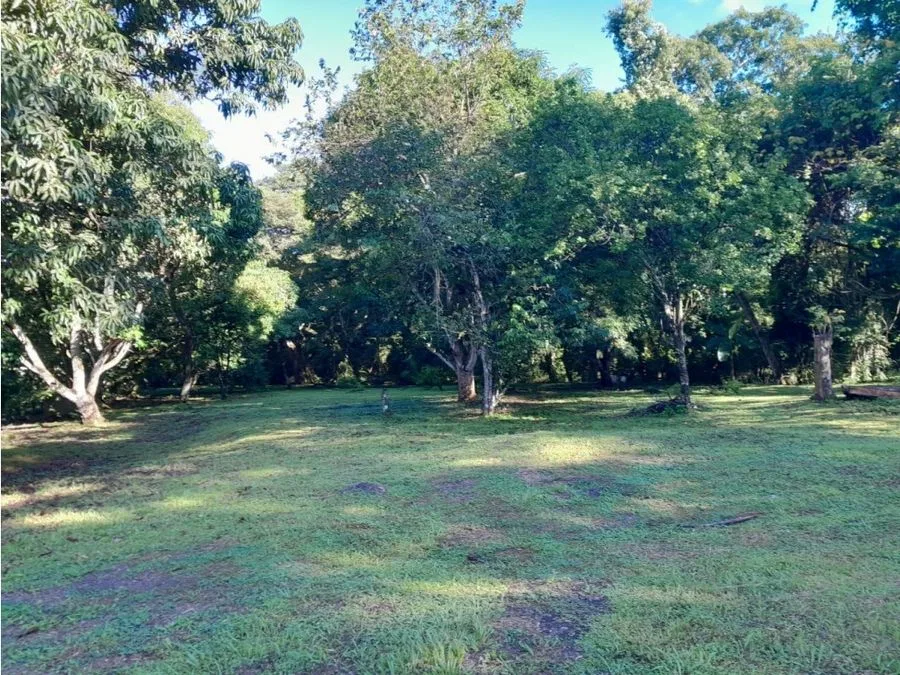 PARCELA EN VENTA EN GUACALILLO | 3.863 M² | P659, photo 4