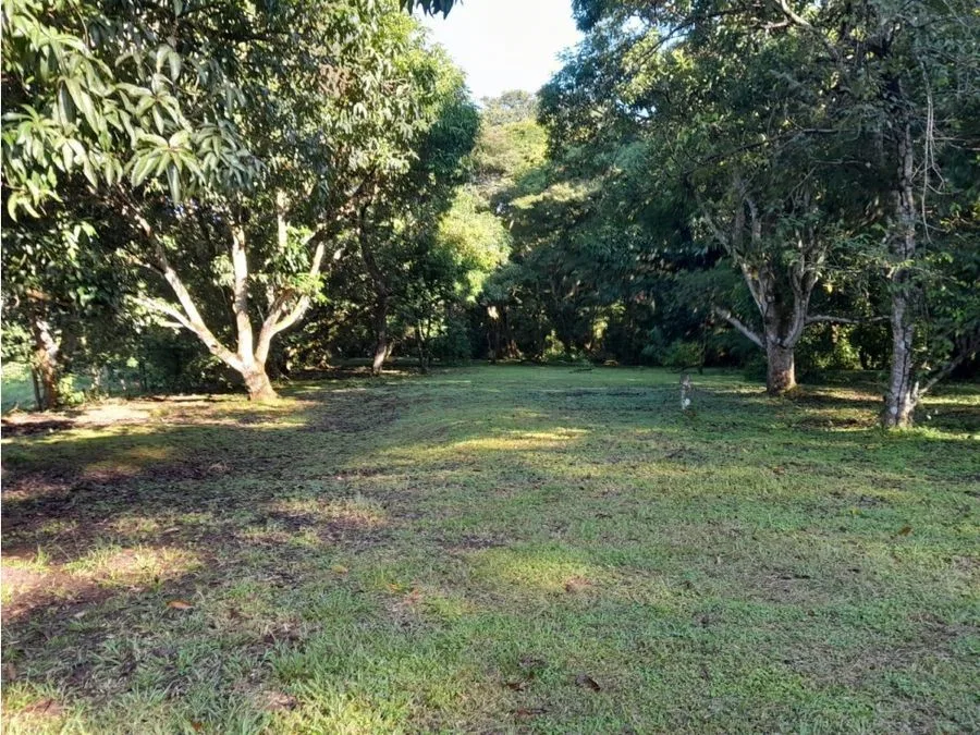 PARCELA EN VENTA EN GUACALILLO | 3.863 M² | P659, photo 5