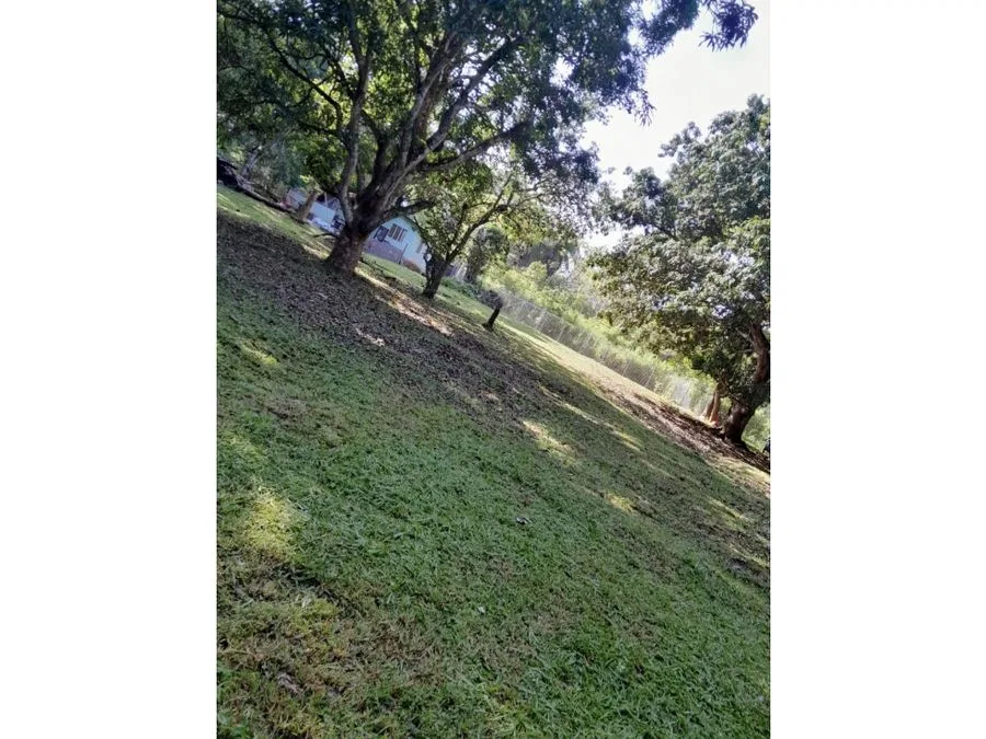 PARCELA EN VENTA EN GUACALILLO | 3.863 M² | P659, photo 6