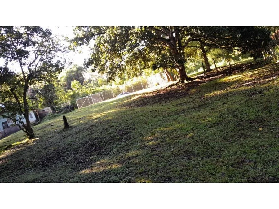 PARCELA EN VENTA EN GUACALILLO | 3.863 M² | P659, photo 7