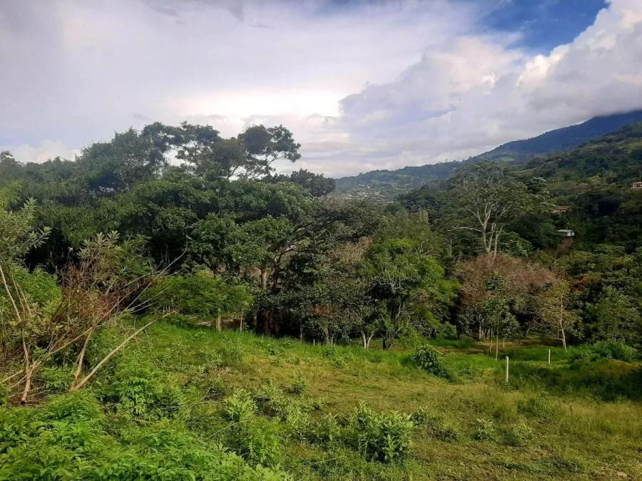 Venta de lote de 1489 m2 en San Antonio Escazú MGA - Venta en Escazú
