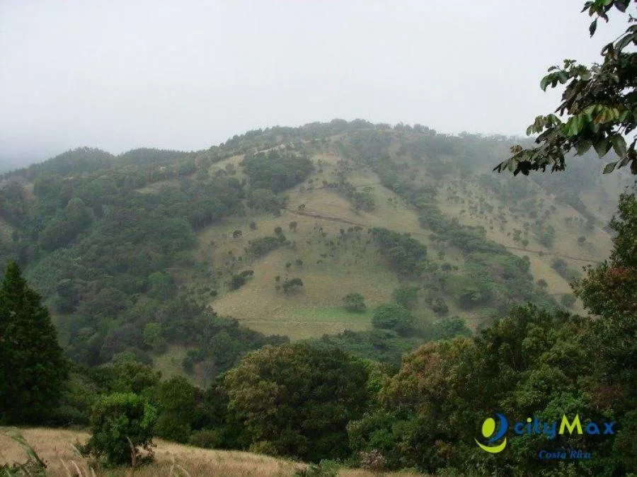 En Venta Finca De 304 Hectareas San Luis De Grecia C.r.; Idi: 96323 - Venta en Grecia