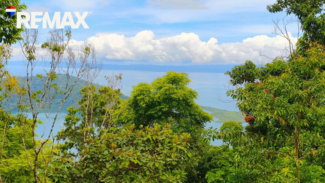 Ocean-View Hectare on Golfito Bay — Flat Building Plateau, Ready for a Stunning Split-Level Residence | $250,000