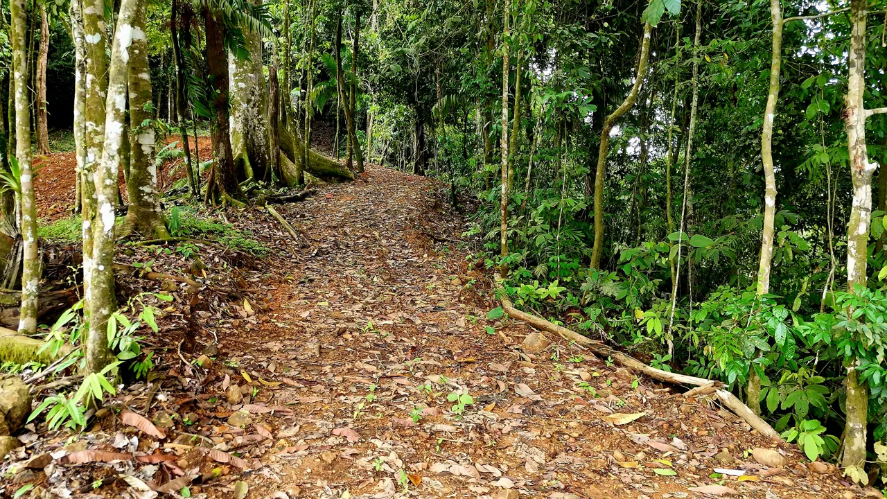SE VENDE TERRENO LISTO PARA CONSTRUIR RODEADO DE NATURALEZA, photo 2