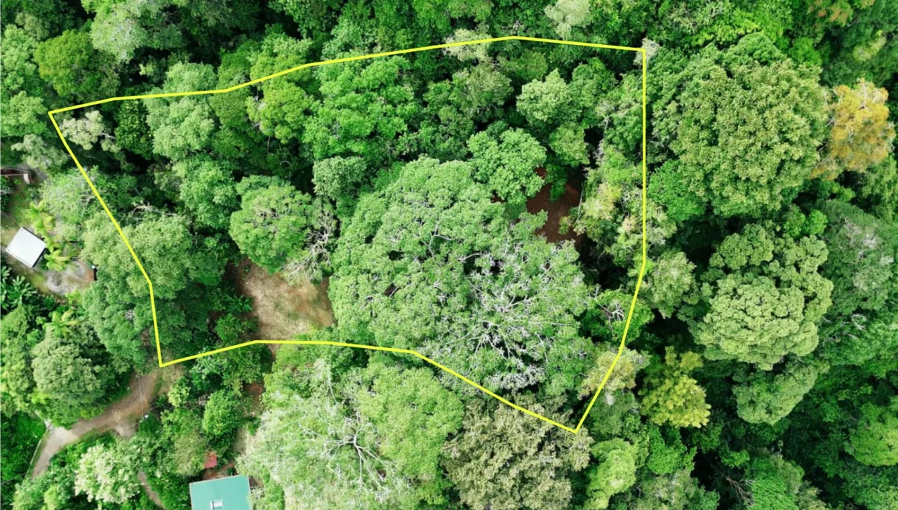 SE VENDE TERRENO LISTO PARA CONSTRUIR RODEADO DE NATURALEZA, photo 3