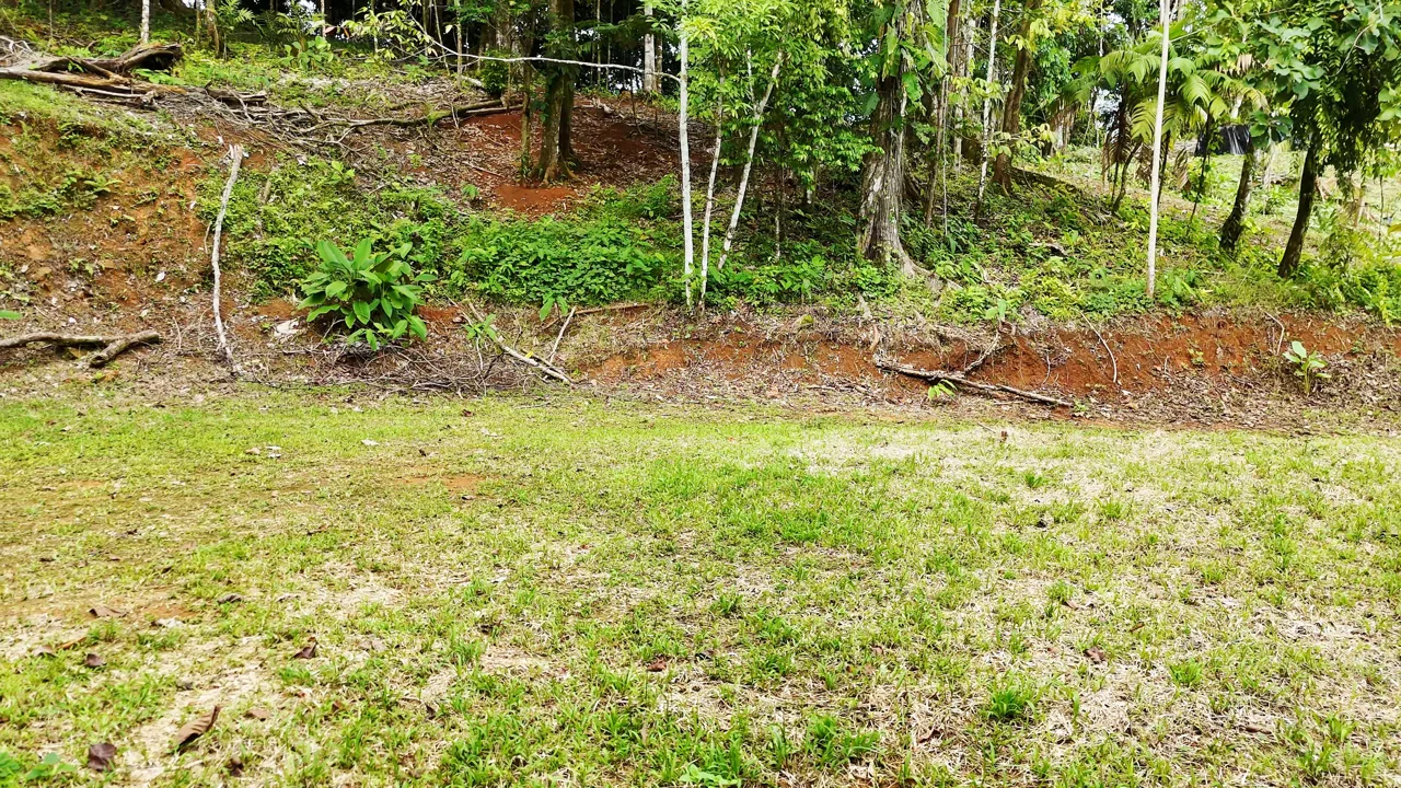 SE VENDE TERRENO LISTO PARA CONSTRUIR RODEADO DE NATURALEZA, photo 4