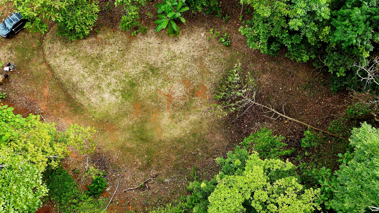SE VENDE TERRENO LISTO PARA CONSTRUIR RODEADO DE NATURALEZA, photo 5