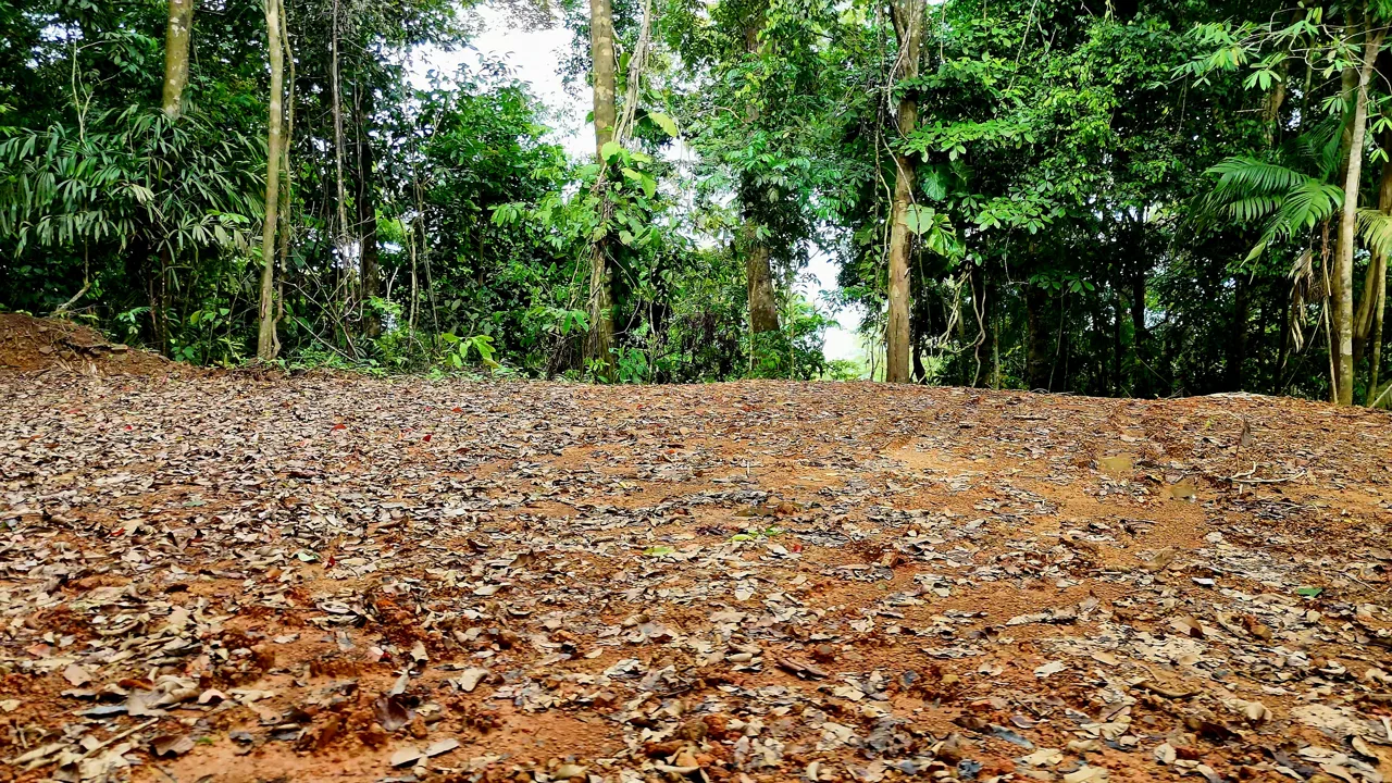 SE VENDE TERRENO LISTO PARA CONSTRUIR RODEADO DE NATURALEZA, photo 6