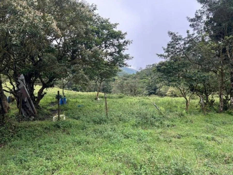 Venta de Lote + Bodega en Calle Blancos. - Venta en Goicoechea, photo 13