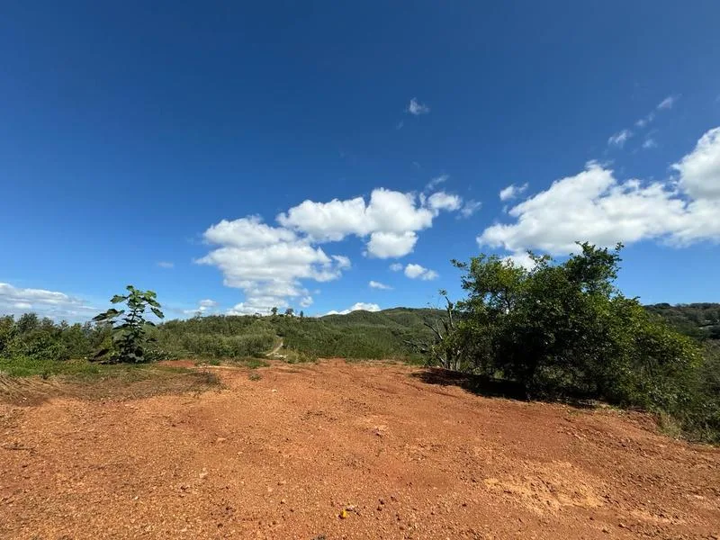 Land For Sale in Samara, photo 3