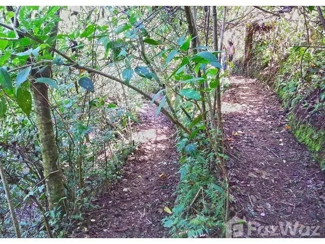 Land for Sale in Montes De Oca, San Jose for $280,000, photo 6