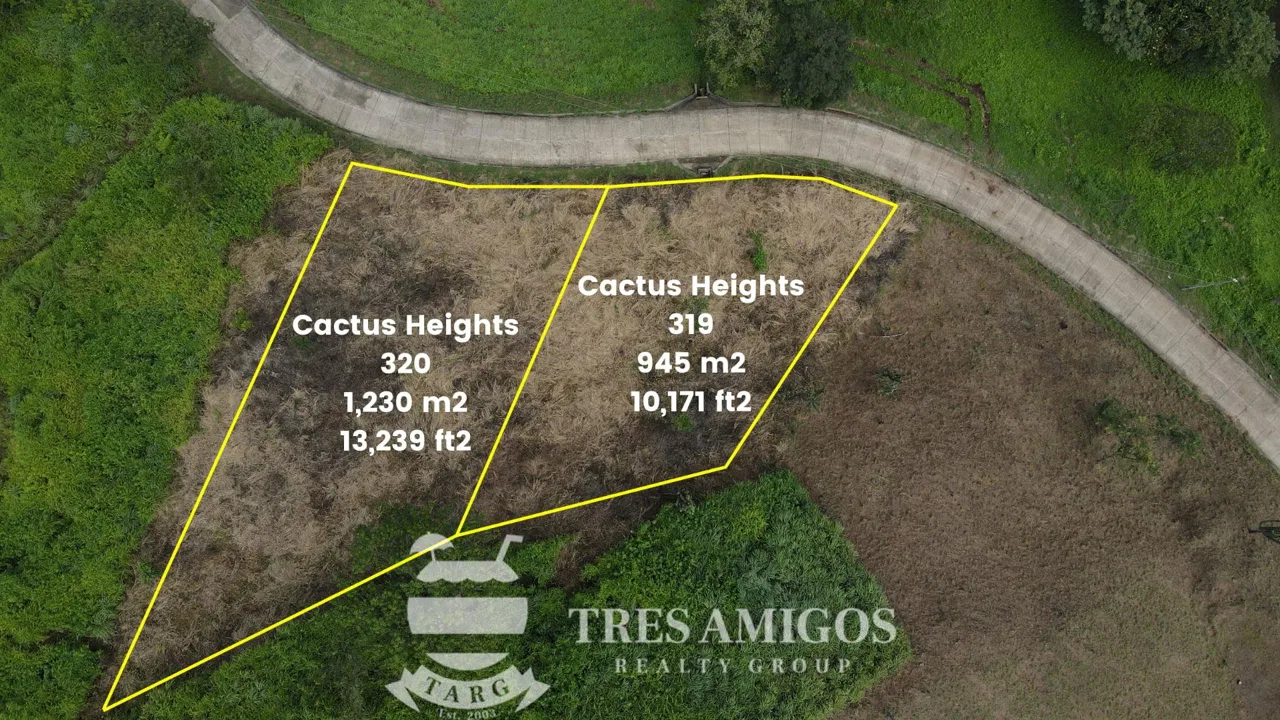 Cactus Heights Lot 319, photo 2