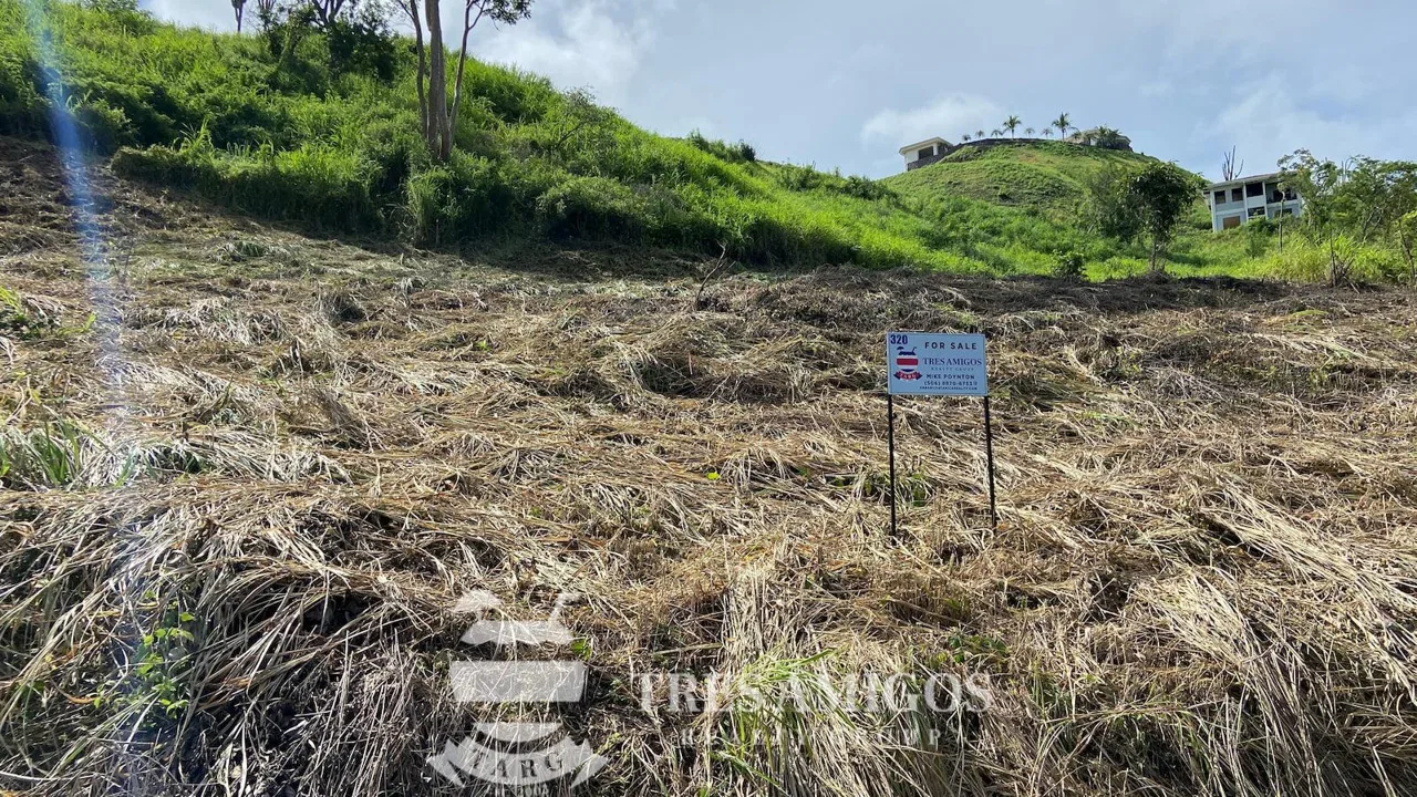 Cactus Heights Lot 319, photo 11