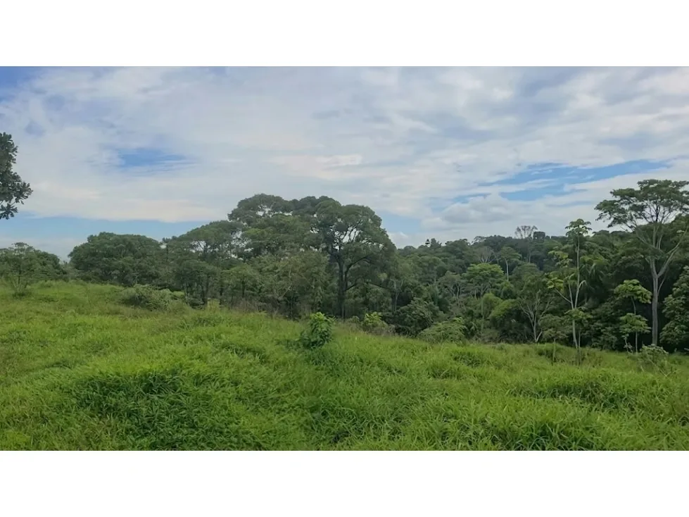DESCRIPCIÓN DETALLADA: ubicado en un entorno natural ideal para el desarrollo de ..., photo 3
