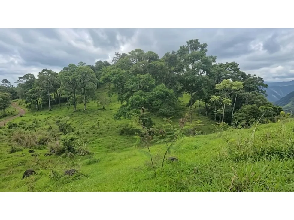 DESCRIPCIÓN DETALLADA: ubicado en un entorno natural ideal para el desarrollo de ..., photo 4