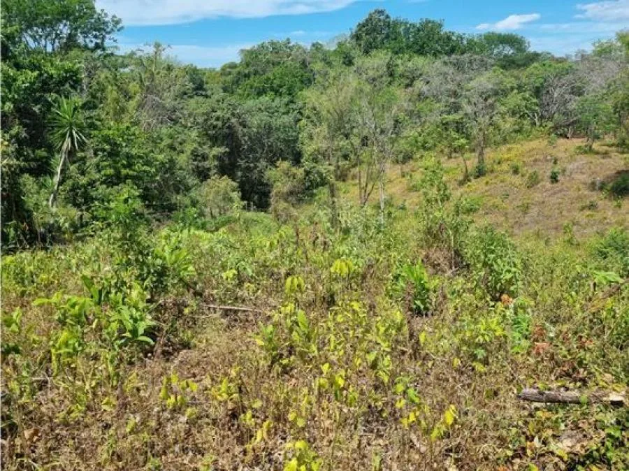 Finca en venta en Esparza, para desarrollo, alta densidad, 4PDC7157252 - Venta en Esparza