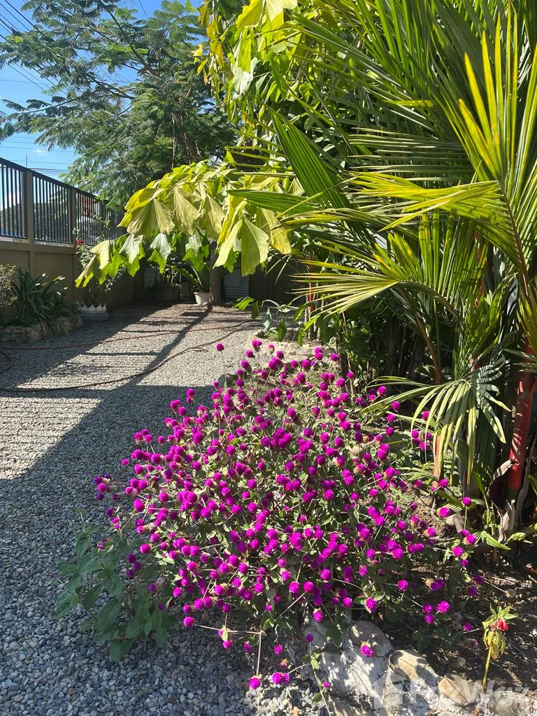 3 Bedroom House for Sale in Perez Zeledon, San Jose for $320, photo 15