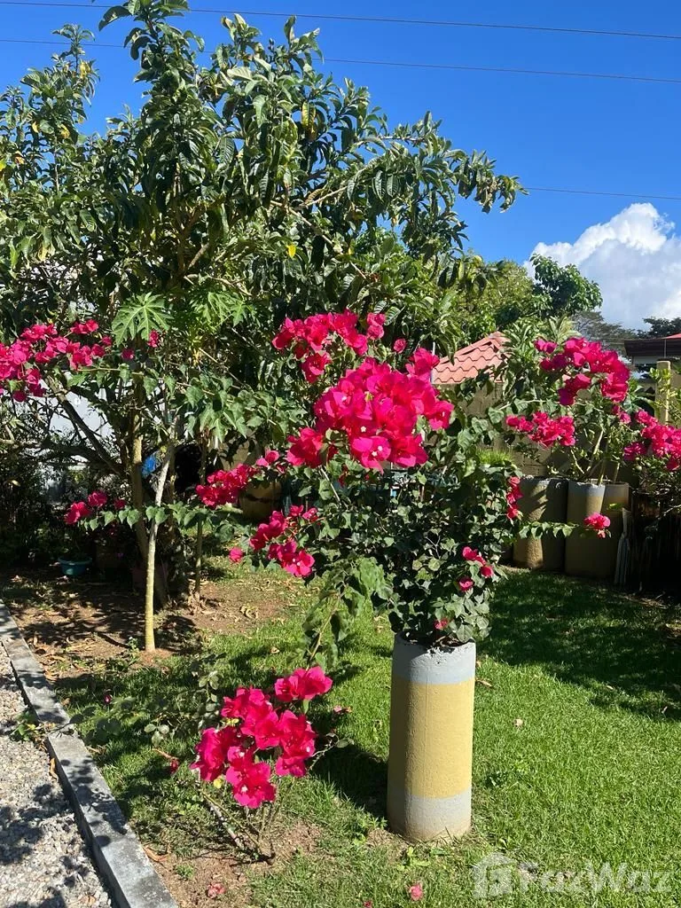 3 Bedroom House for Sale in Perez Zeledon, San Jose for $320, photo 9