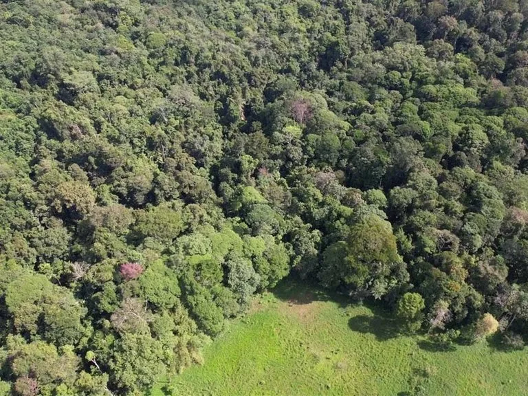 69.16 Acres Property | Mountain & Top Ocean View with Small Home