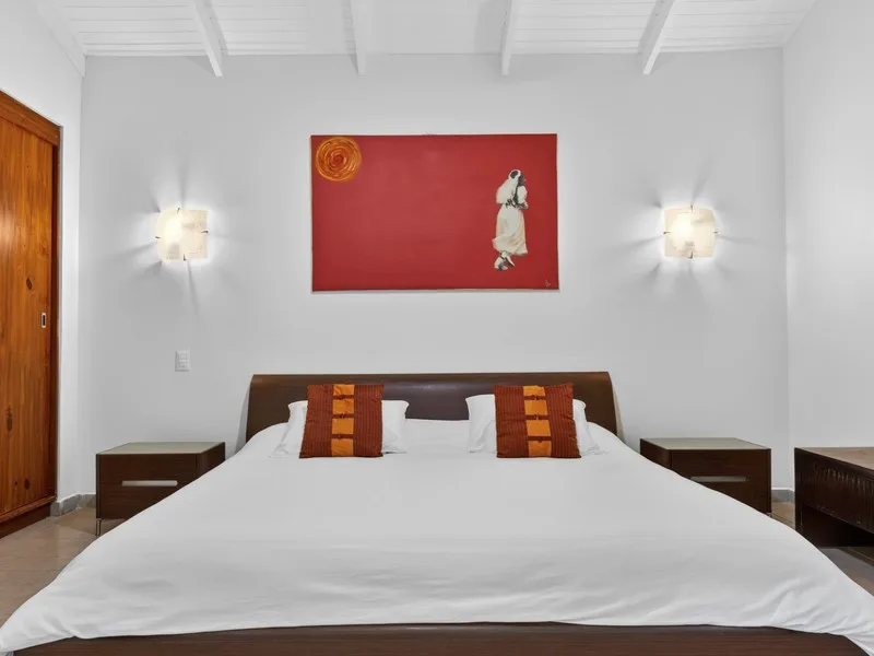 11 Bed Hotel / Leisure For Sale in Tamarindo, photo 3