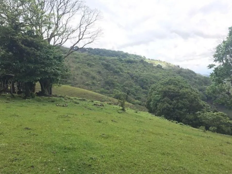 Venta de Lote en Escazú, San José. - Venta en Escazú