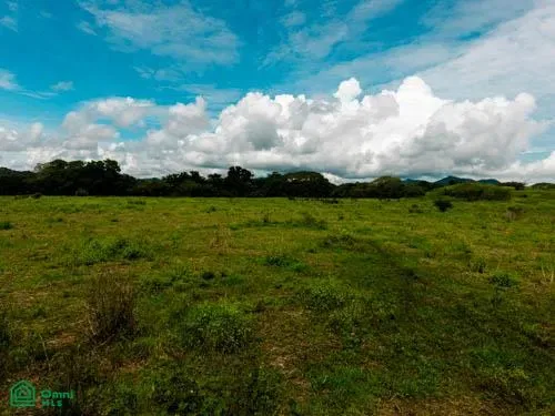 Sardinal Farm, Tempate, Guanacaste 50504